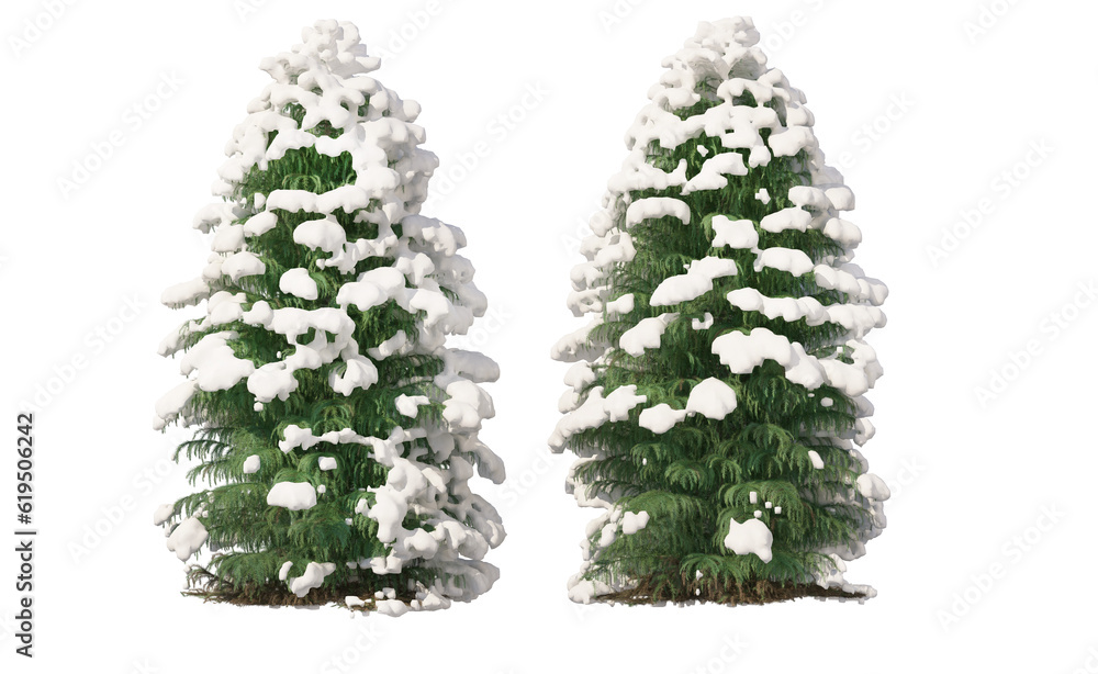 Fototapeta premium Snow on tree with transparent background