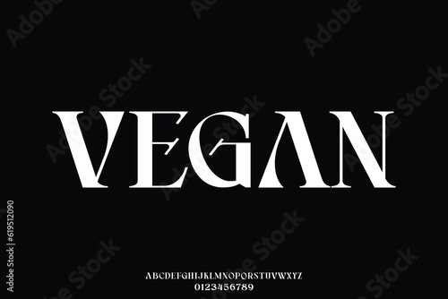 Unique decorative serif typeface display font vector illustration