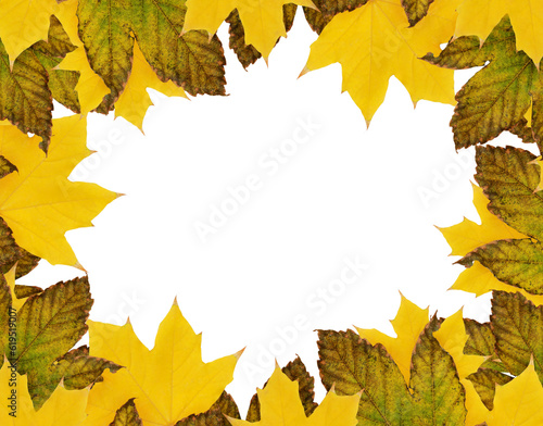 Autumn maple leaves in a se...