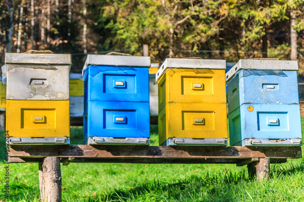 Colorful box hives on the edge of the forest near the village of Twardorzeczka in Beskid Żywiecki (Poland) Colorful box hives on the edge of the forest near the village of Twardorzeczka in Beskid Żywiecki (Poland)