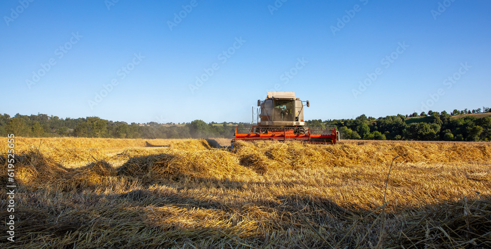 Fototapeta premium Moisson du blé par l'agriculture au volant de son tracteur dans les champs en France.