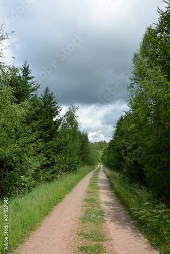 Waldweg mit Gewitterwolken 