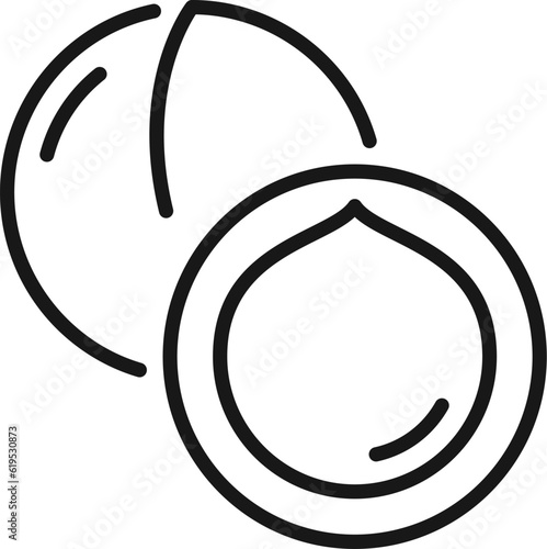Macadamia nut in shell isolated queensland nut outline icon. Vector bush maroochy bauple nut, exotic tropical dessert tasty snack, thin line