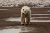 Polar bear on melted ice, Generative AI