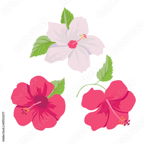 Vector set of bright pink hibiscuses