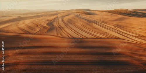 Drone perspective of agricultural fields, patterned rows of crops, earthy colors, abstract pattern, shot on DJI Phantom 4 Pro, golden hour