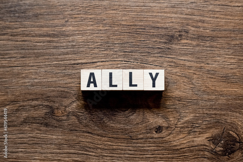 Ally - word concept on building blocks, text