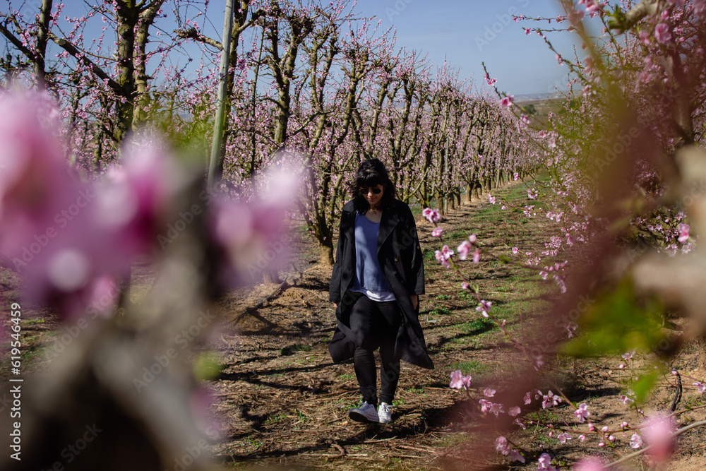 Naklejka premium Woman walking through fields of flowering peach trees in spring.