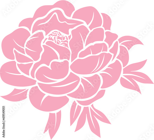 hand drawn vector illustration of pink peony