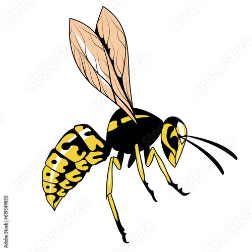 Wasp. Vector illustration of a hornet or bee. Dangerous striped insect