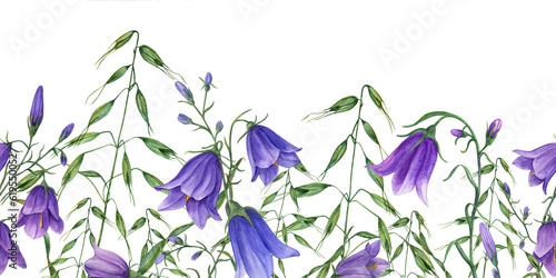 Obraz na plátně Summer meadow wildflowers seamless border isolated on white background