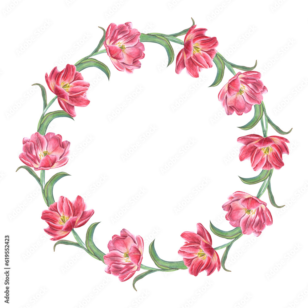 Pink tulips wreath isolated on white background. Watercolor illustration of bright spring flowers for create postcard design, invitation template, birthday, wedding, mother day cards. Space for text