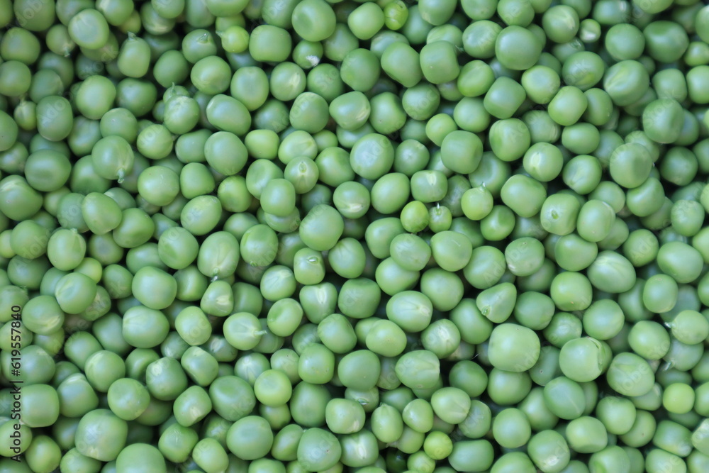 Lots of fresh green peas. Green peas background Lots of fresh green peas. Green peas background