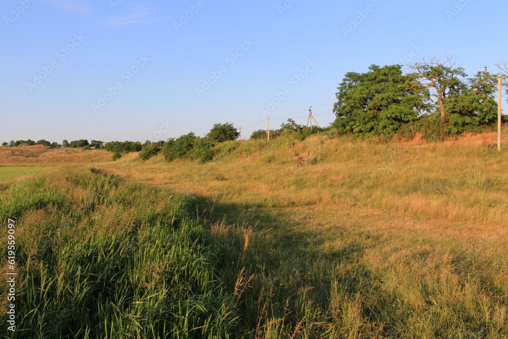 A grassy field with trees and a blue sky