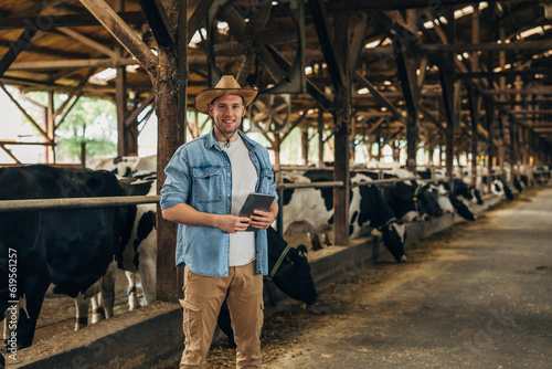 Farmer stands in his large cattle barn.