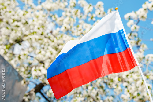 The flag of Russia on the background of a blooming apple tree