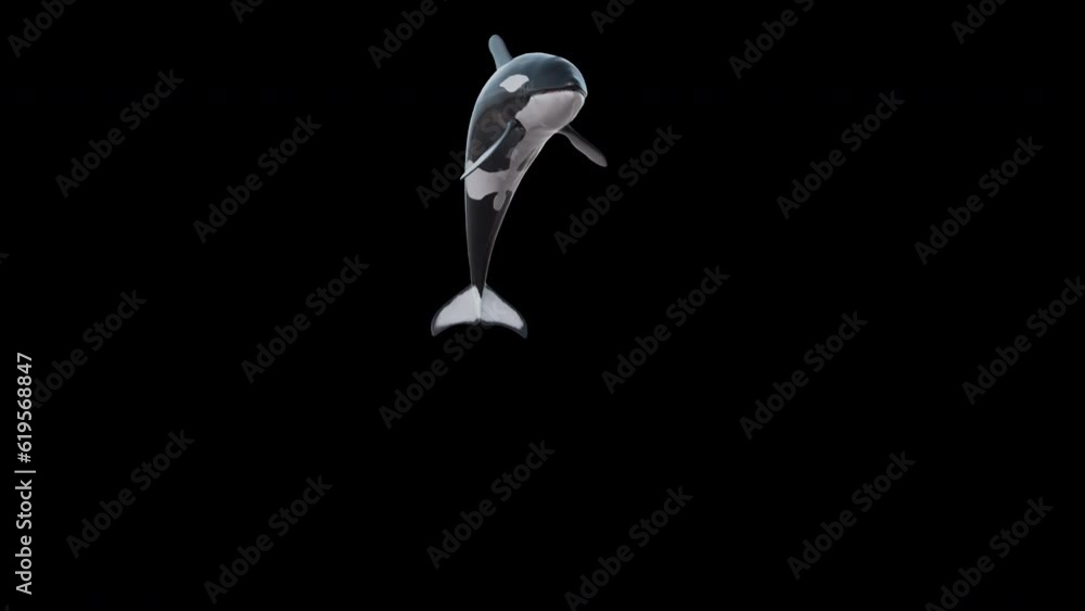Killer Whale Orcas Jump Pack includes 3 jumps , shot at different ...