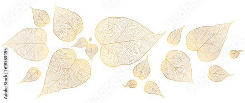 Beautiful background with leaves vein. Vector illustration.