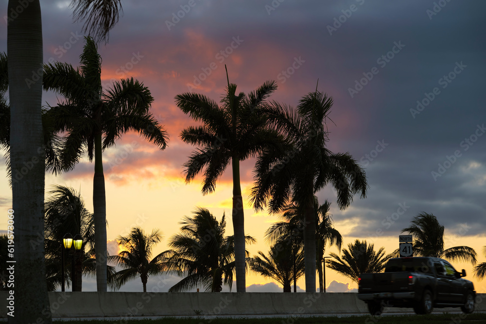 Obraz premium Car driving on american road under palm trees at Florida sunset