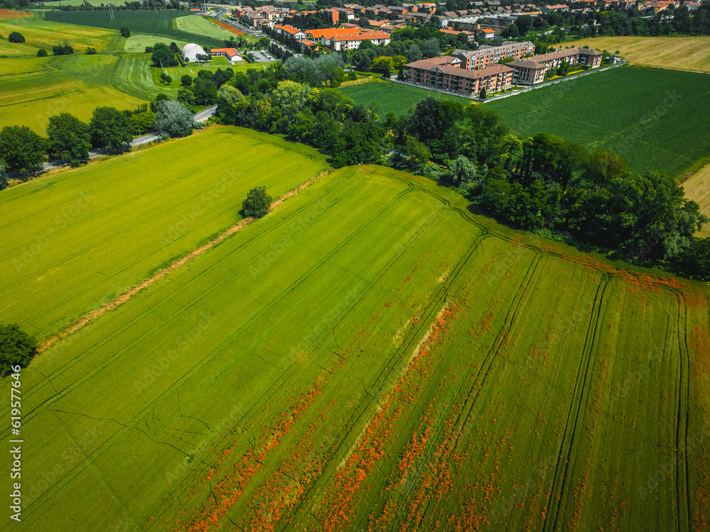 Fototapeta premium Aerial view of Poasco in Italy surrounded by fields and countryside. Milan, Lombardy Aerial photo. Top view of countryside and green fields. Country Life Concept. Aerial photography in the summer. 