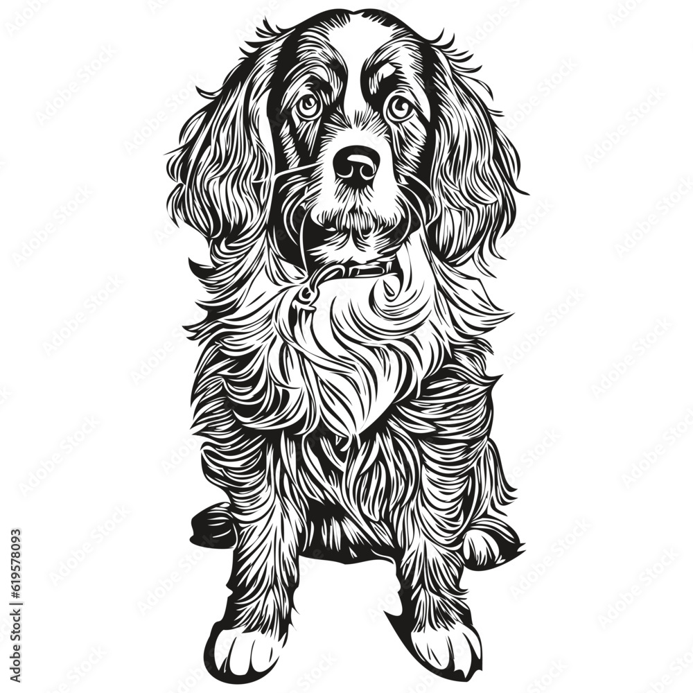 Spaniel Boykin dog outline pencil drawing artwork, black character on white background Spaniel Boykin dog outline pencil drawing artwork, black character on white background