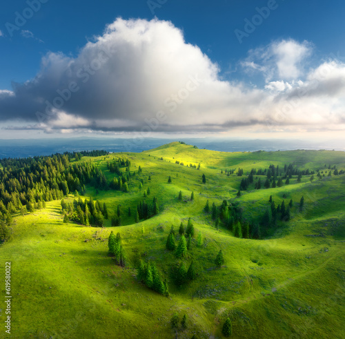 Aerial view of green alpine meadows on the hills at sunset in summer. Top drone view of mountain valley with trees  green grass and blue sky with clouds. Velika Planina  Slovenia. Colorful landscape