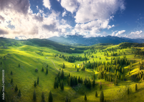 Fototapeta Naklejka Na Ścianę i Meble -  Aerial view of green alpine meadows on the hills at sunset in summer. Top drone view of mountain valley with trees, green grass and blue sky with clouds. Velika Planina, Slovenia. Colorful landscape