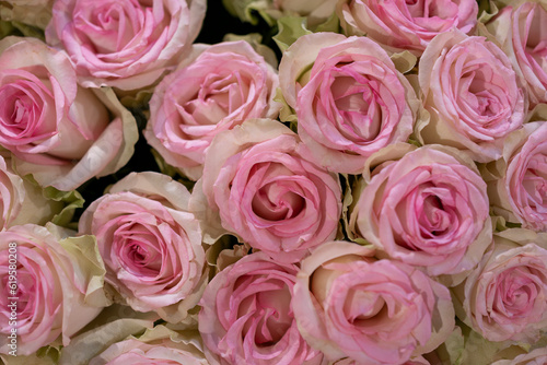 Close-up image of beautiful pink rose flower bouquet