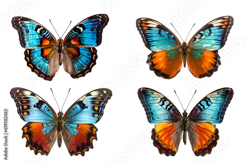 butterfly isolated on transparent background  generative ai