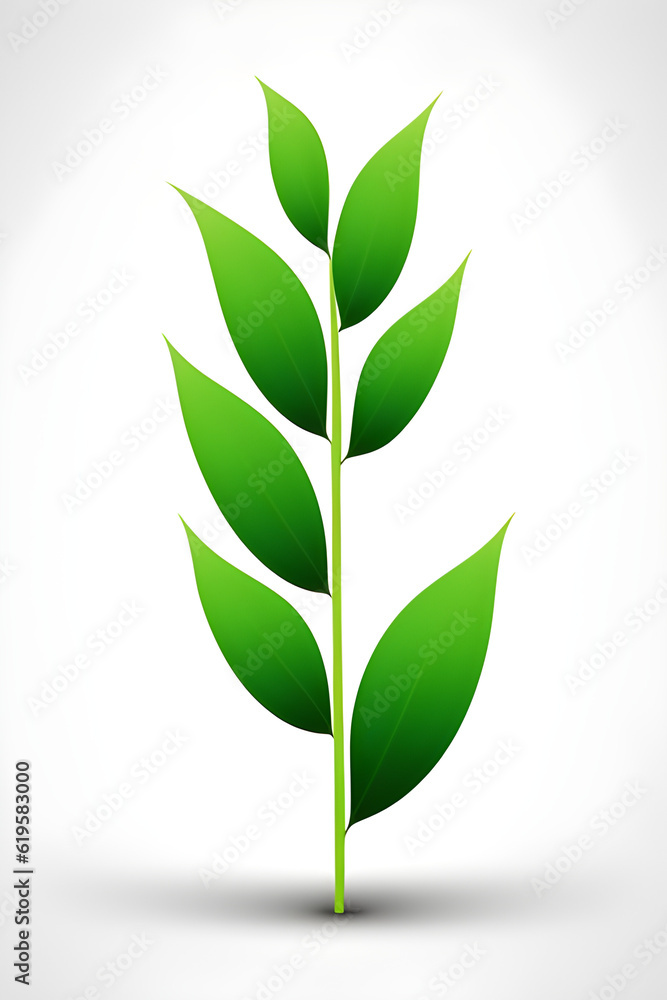 green leaf isolated on white green leaf isolated on white