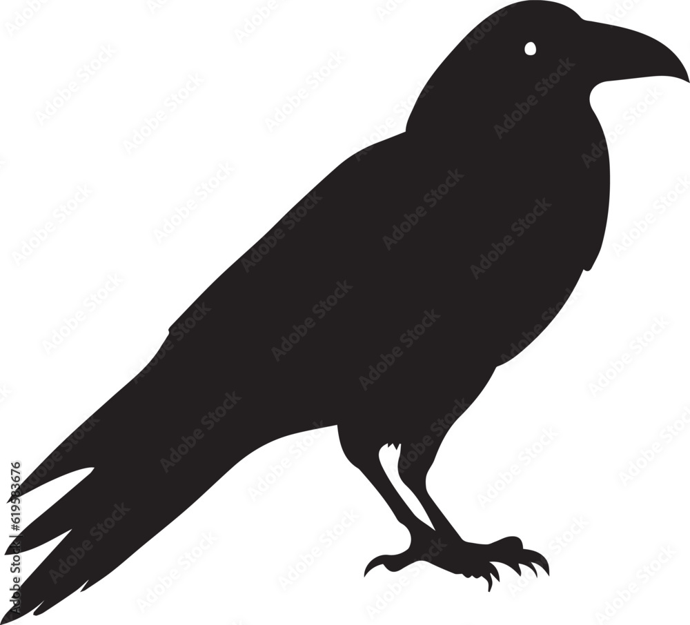 Crow vector silhouette illustration Crow vector silhouette illustration