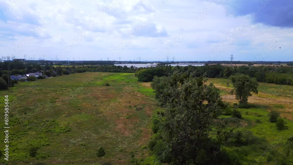 Storks over summer field flyover street trees. Nice aerial top view flight drone Storks over summer field flyover street trees. Nice aerial top view flight drone