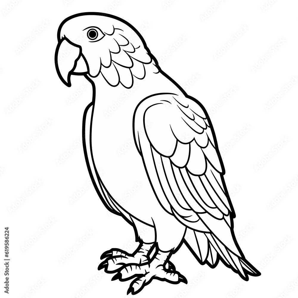 Fototapeta premium Bird, colouring book for kids, PNG illustration 