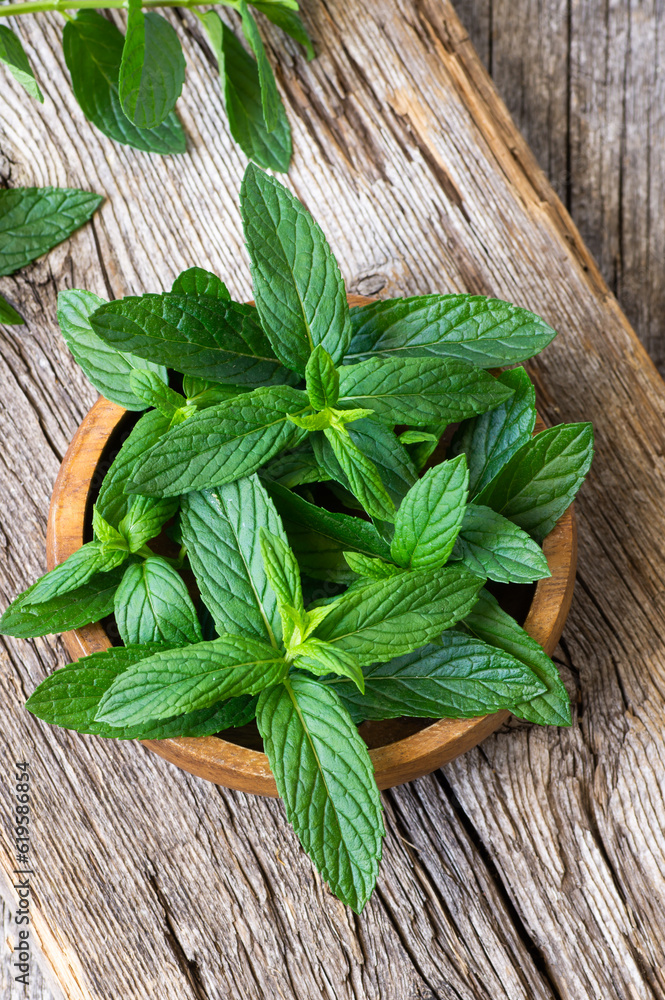Fresh ripe green mint leaves in bowl on rustic background, green vegetable and spice Fresh ripe green mint leaves in bowl on rustic background, green vegetable and spice