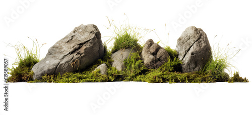 Fotografia grass fields meadow with rocks on transparent background, png