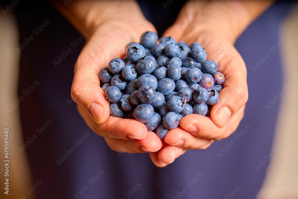 Handvoll von frischen Heidelbeeren Handvoll von frischen Heidelbeeren