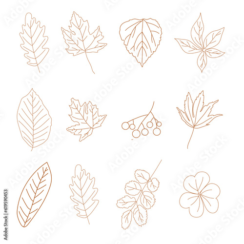 A set of leaves decorations with brown contour in rows on white background in outline art for webs, cards, wallpapers, posters