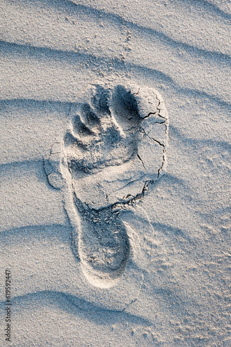 Obraz na plátně footprint in the sand