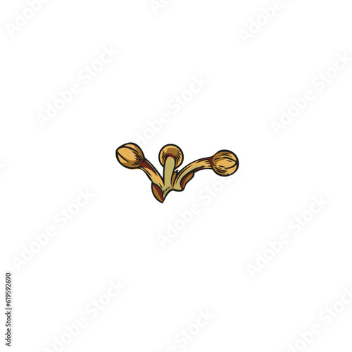 Hand drawn dry bay leaf pepper, corns, color isolated vector realistic sketch illustration of fragrant bay laurus