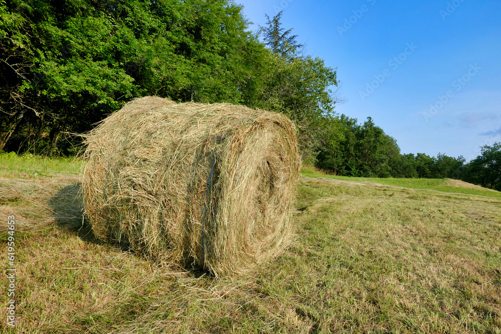 Close up of a round hay bale freshly ejected from a hay baler in the Dordogne countryside of France
Close up of a round hay bale freshly ejected from a hay baler in the Dordogne countryside of France