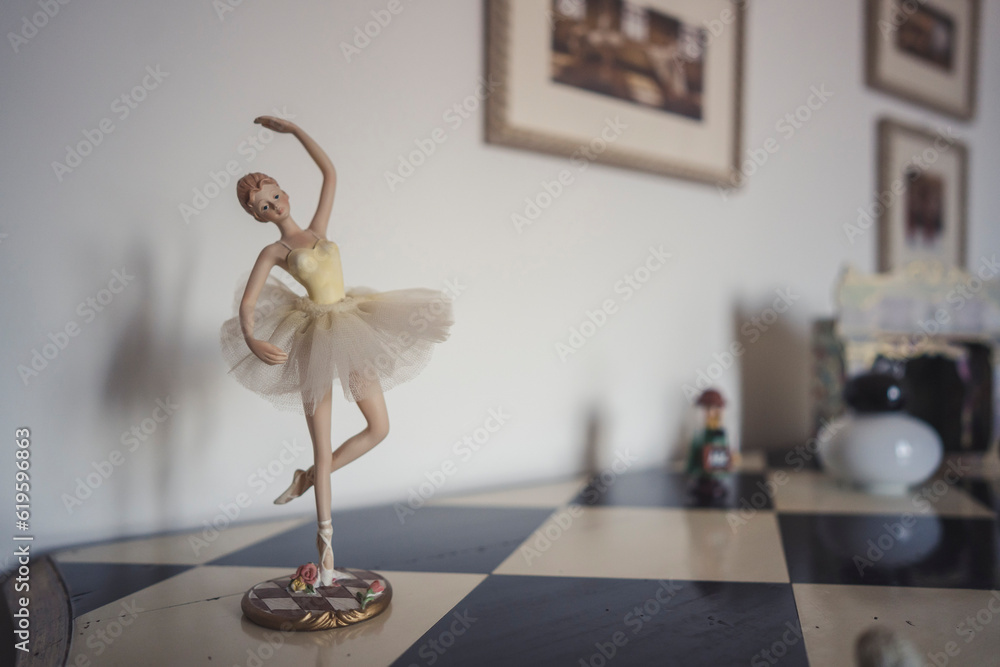 Fototapeta premium ballerina classica