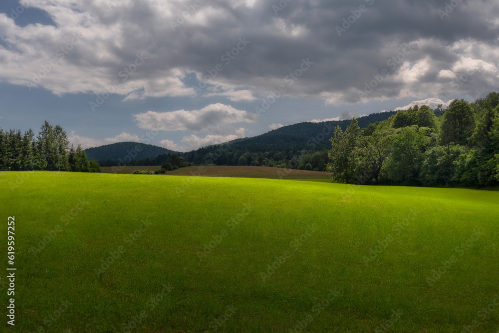 Naklejka premium field and blue sky