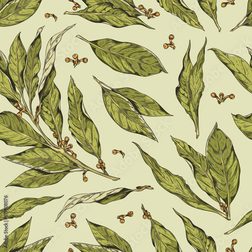 Hand drawn vector seamless pattern with branch of bay leaf with corns, pepper, sketch illustration of fragrant bay leave