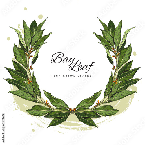Hand drawn decorative wreath of bay leaves sketch style, vector illustration