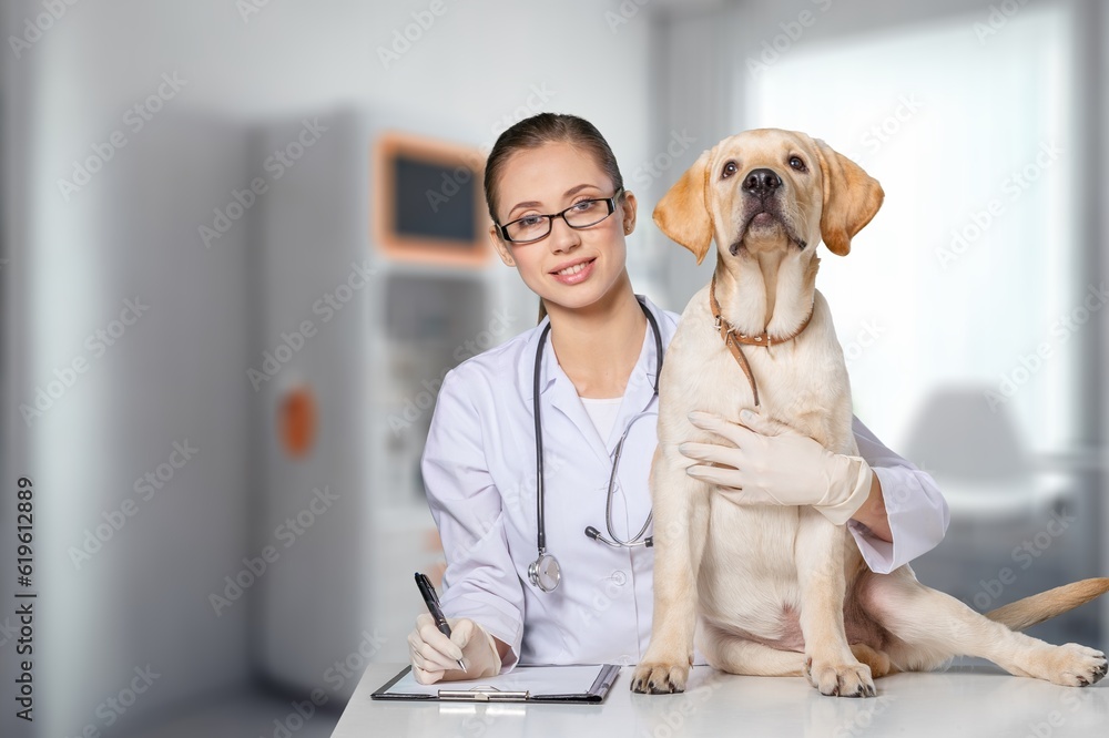 Vet Clinic concept,  Veterinarian and cute dog, AI generated image