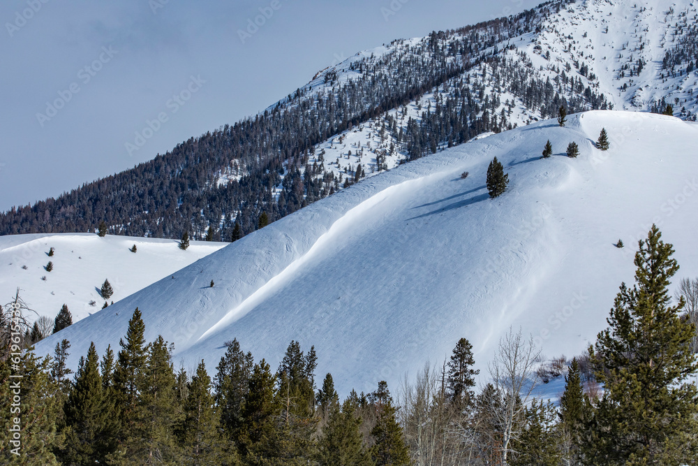 USA, Idaho, Sun Valley, Snowcovered mountain slope with trees Stock