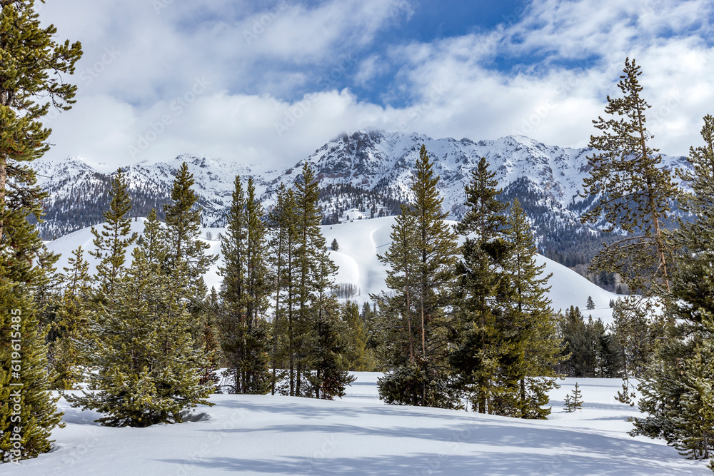 USA, Idaho, Ketchum, Pine trees in mountains at winter USA, Idaho, Ketchum, Pine trees in mountains at winter
