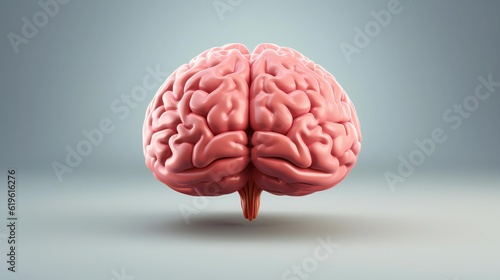 A computer-generated image of a human brain