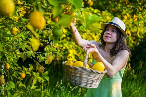 girl recolecting lemons with a green dress photo