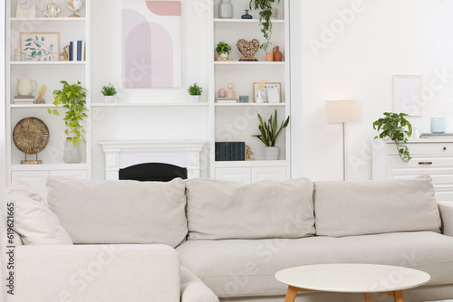 Stylish living room interior with comfortable sofa and side table